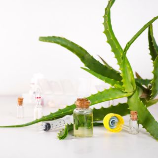  Extrakt aus der Brennnesselwurzel